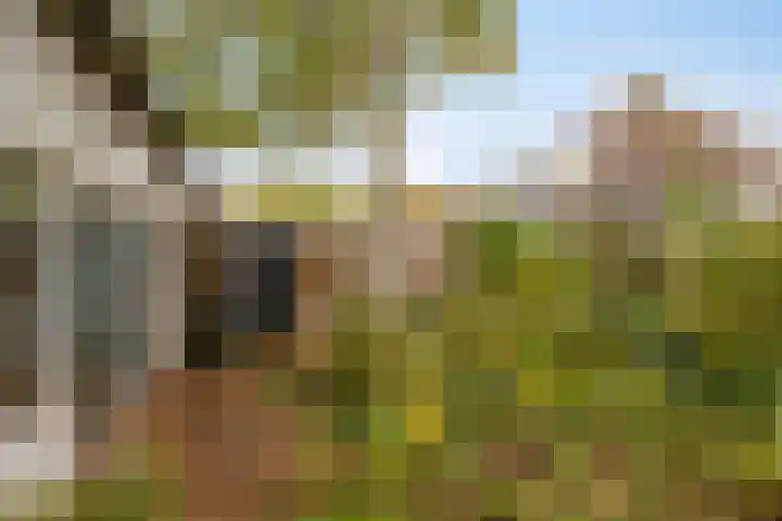 Baksweer 202 Raamsdonksveer thumbnail 42
