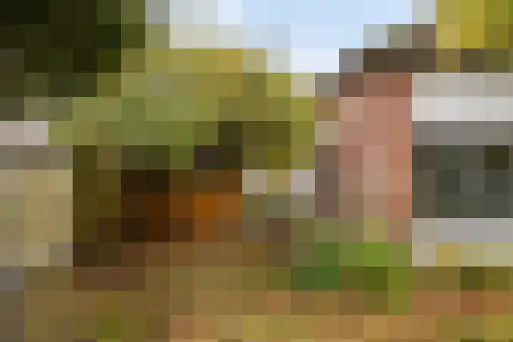 Baksweer 202 Raamsdonksveer thumbnail 43