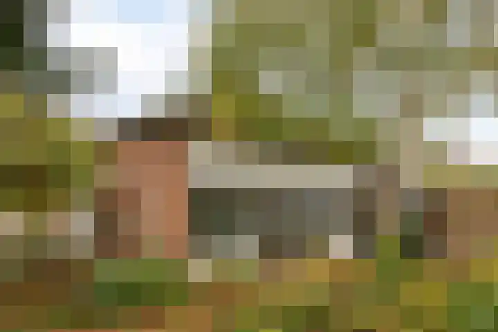 Baksweer 202 Raamsdonksveer thumbnail 44
