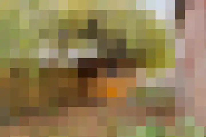 Baksweer 202 Raamsdonksveer thumbnail 45