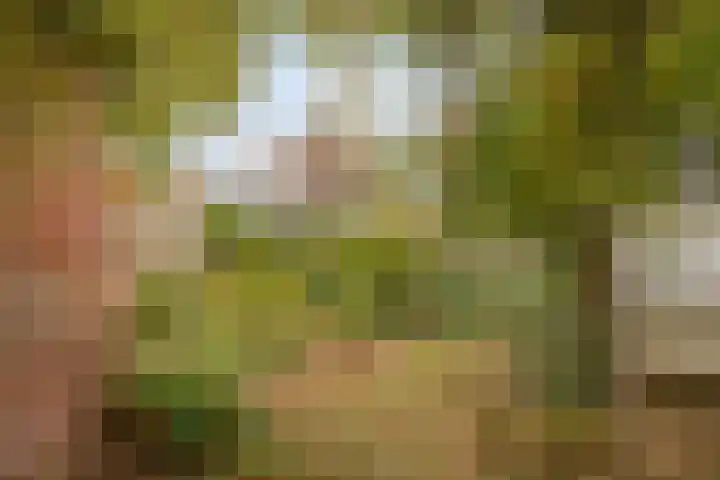 Baksweer 202 Raamsdonksveer thumbnail 46