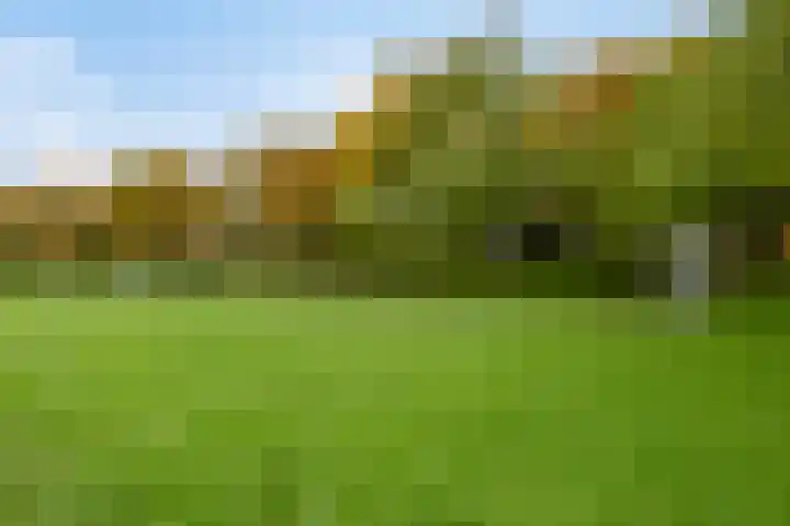Baksweer 202 Raamsdonksveer thumbnail 49