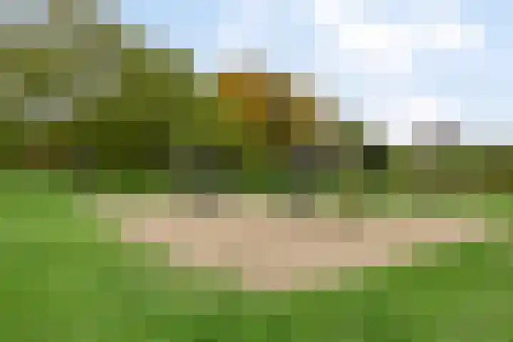 Baksweer 202 Raamsdonksveer thumbnail 50