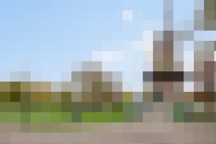 Baksweer 202 Raamsdonksveer thumbnail 51