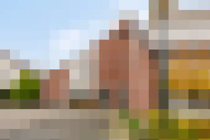 Baksweer 202 Raamsdonksveer thumbnail 7