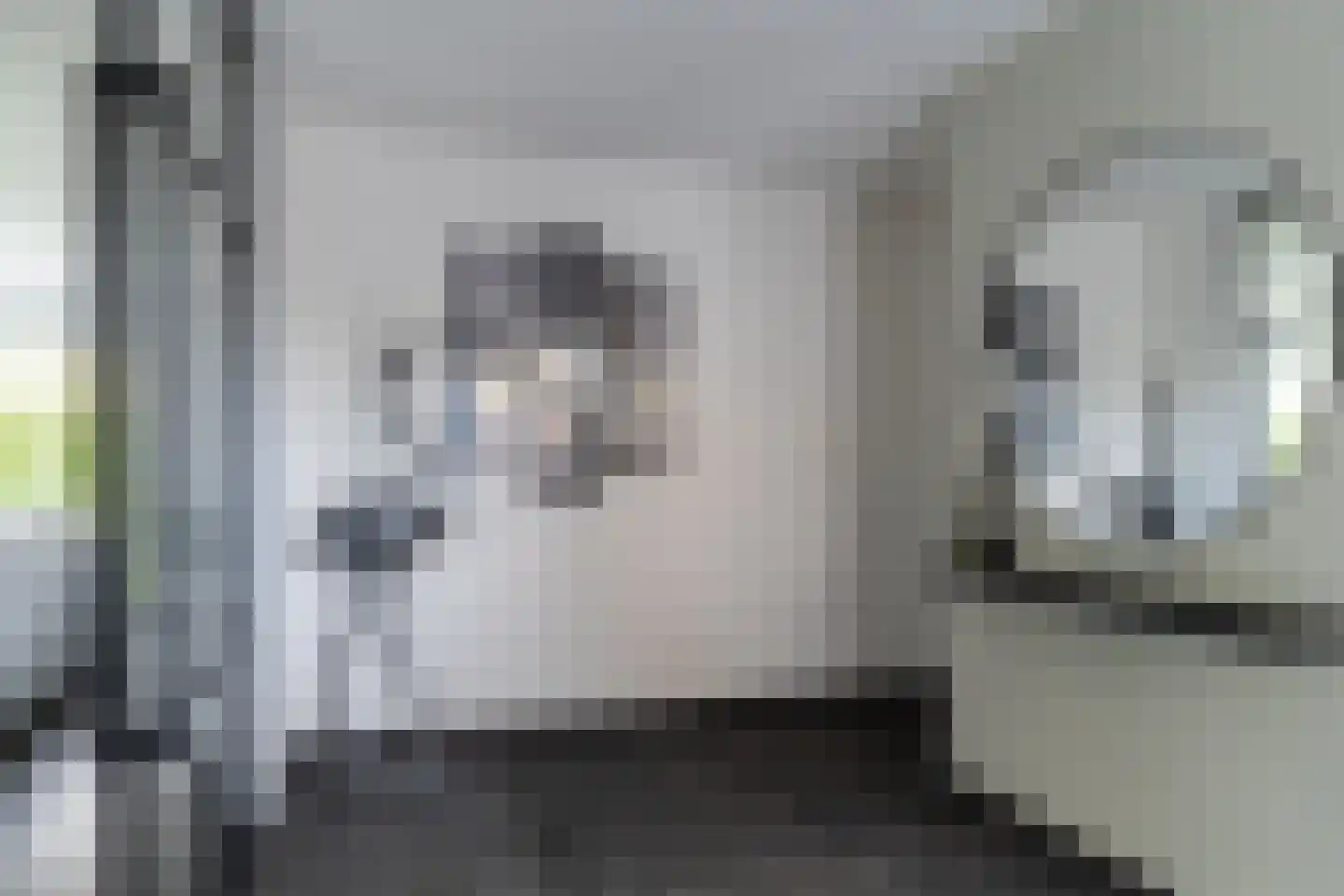 Baksweer 245 Raamsdonksveer thumbnail 13