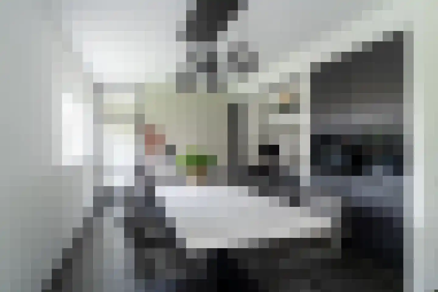 Baksweer 245 Raamsdonksveer thumbnail 20