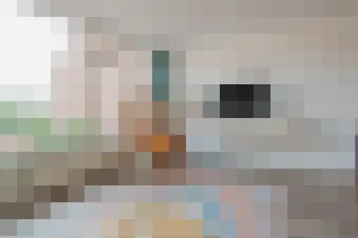 Baksweer 43 Raamsdonksveer thumbnail 14