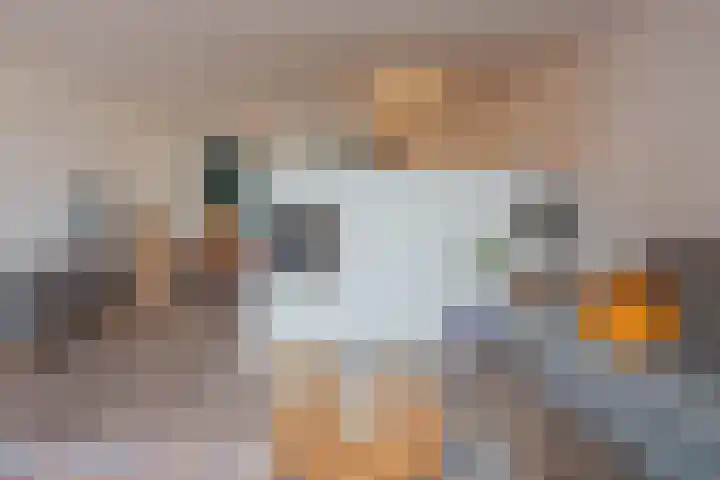 Baksweer 43 Raamsdonksveer thumbnail 15