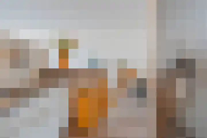 Baksweer 43 Raamsdonksveer thumbnail 20