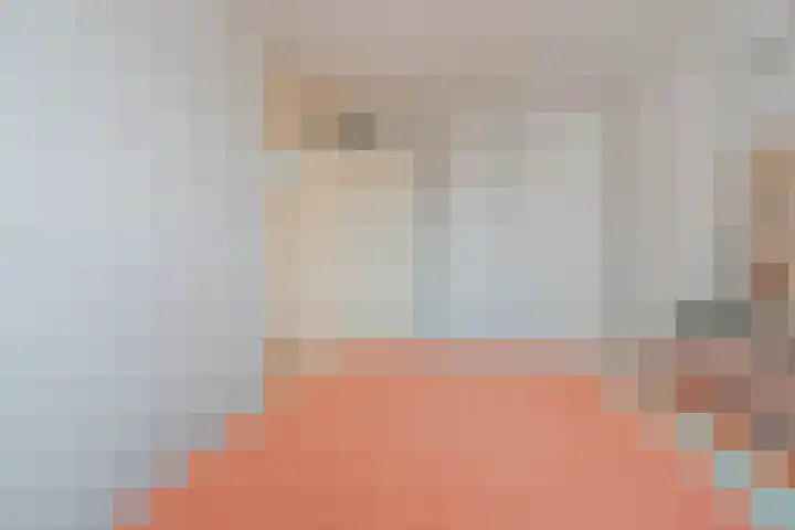 Baksweer 43 Raamsdonksveer thumbnail 26