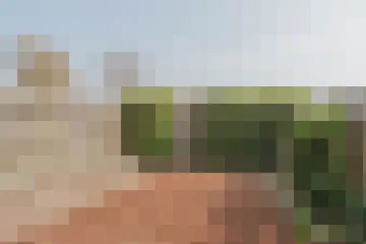 Baksweer 43 Raamsdonksveer thumbnail 31