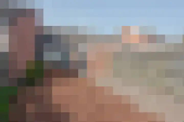 Baksweer 43 Raamsdonksveer thumbnail 32