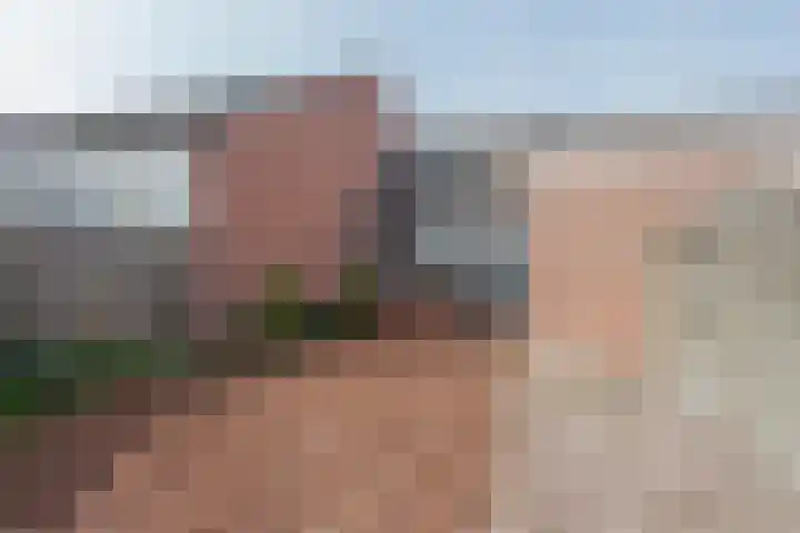 Baksweer 43 Raamsdonksveer thumbnail 33