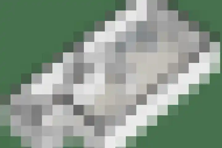 Baksweer 43 Raamsdonksveer thumbnail 39