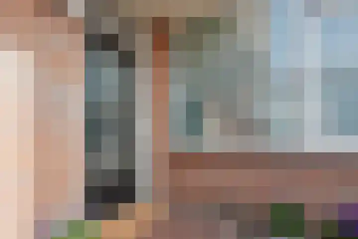 Baksweer 43 Raamsdonksveer thumbnail 8