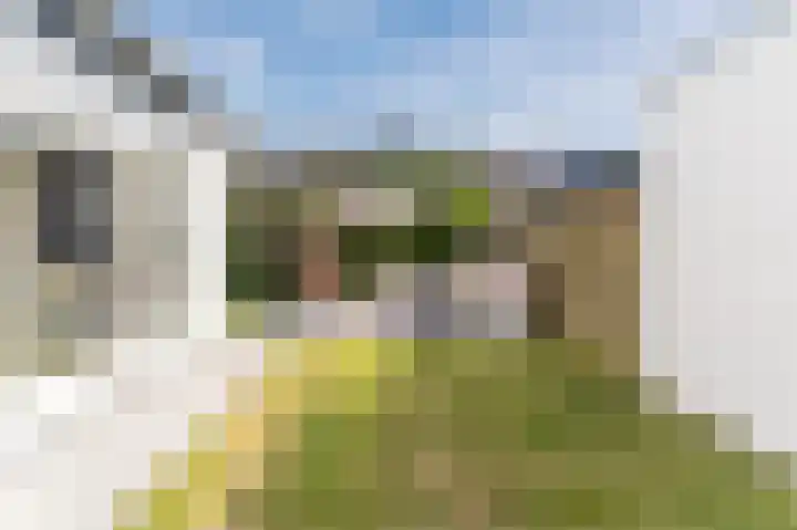 Baksweer 86 Raamsdonksveer thumbnail 21