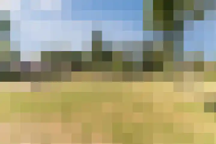 Baksweer 86 Raamsdonksveer thumbnail 29