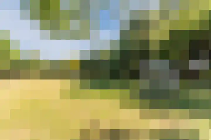 Baksweer 86 Raamsdonksveer thumbnail 30