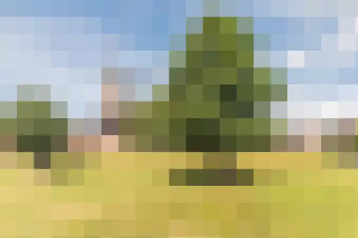 Baksweer 86 Raamsdonksveer thumbnail 31