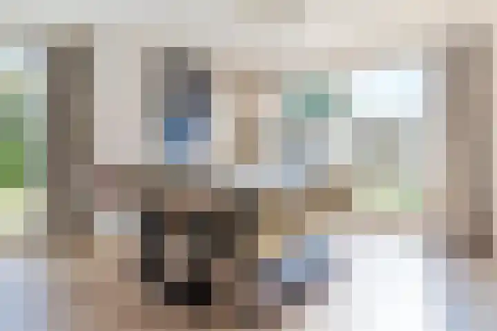 Baksweer 86 Raamsdonksveer thumbnail 4