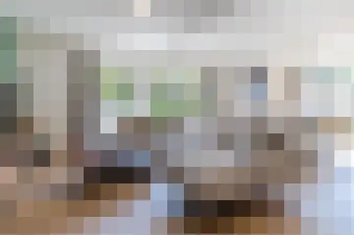 Baksweer 86 Raamsdonksveer thumbnail 5