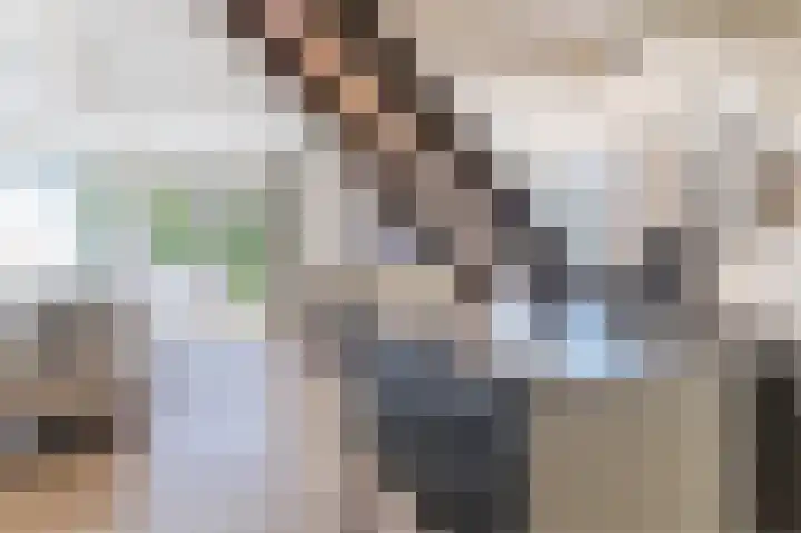 Baksweer 86 Raamsdonksveer thumbnail 6