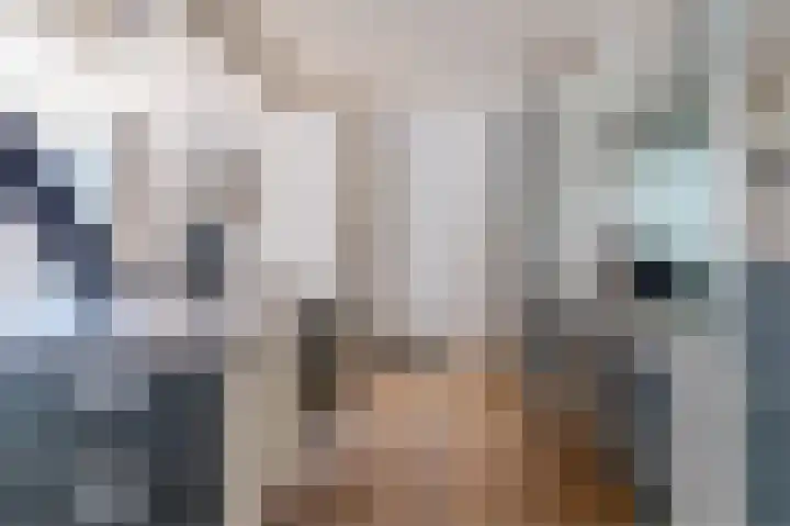 Baksweer 86 Raamsdonksveer thumbnail 7
