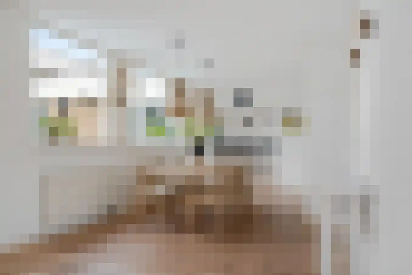 Bakwei 4 Bakhuizen thumbnail 10