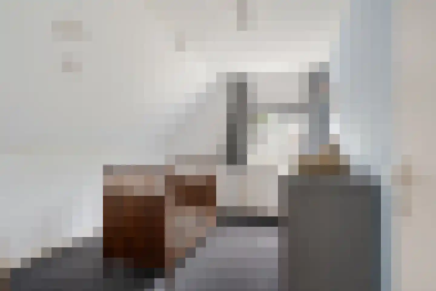 Bakwei 4 Bakhuizen thumbnail 25