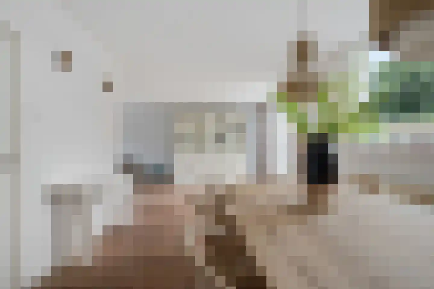 Bakwei 4 Bakhuizen thumbnail 6