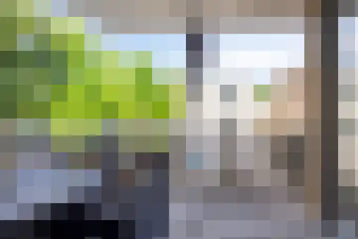 Balans 3 Amersfoort thumbnail 24
