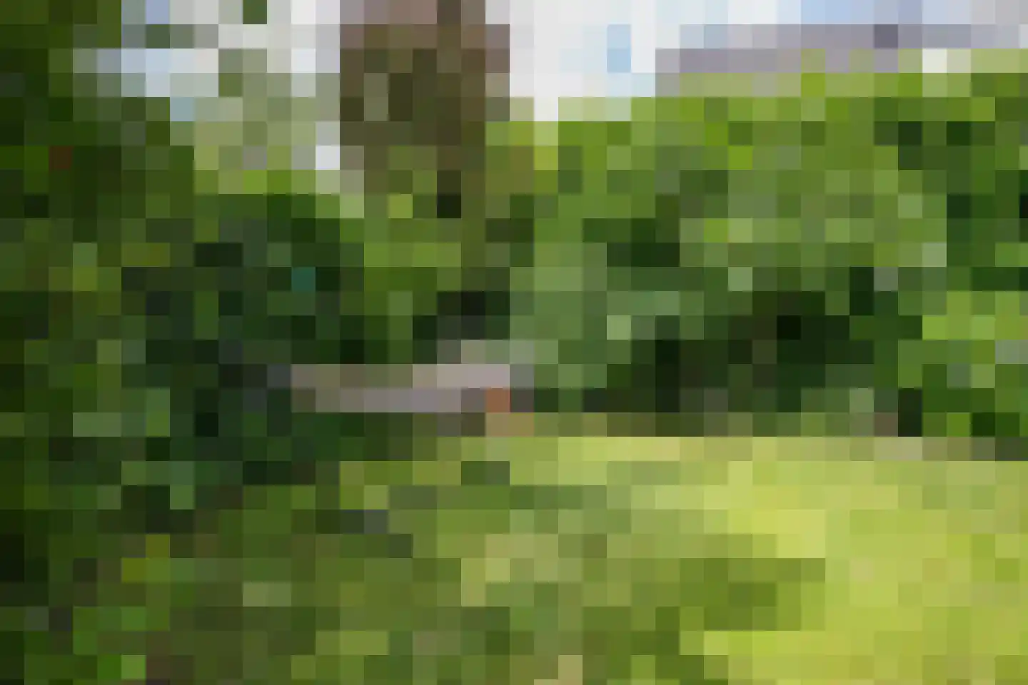 Balatonmeer 65 Amersfoort thumbnail 47