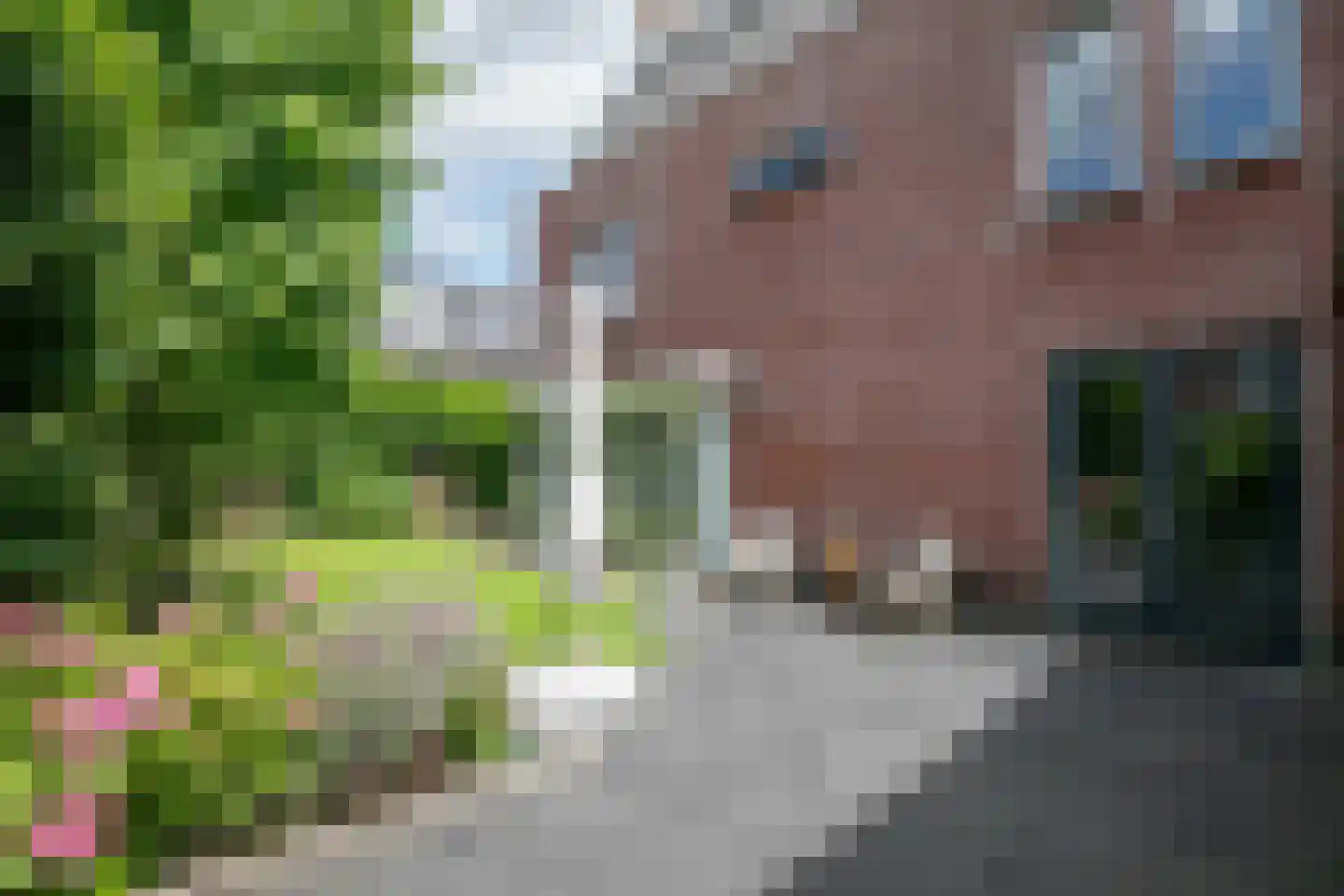 Balatonmeer 65 Amersfoort thumbnail 54