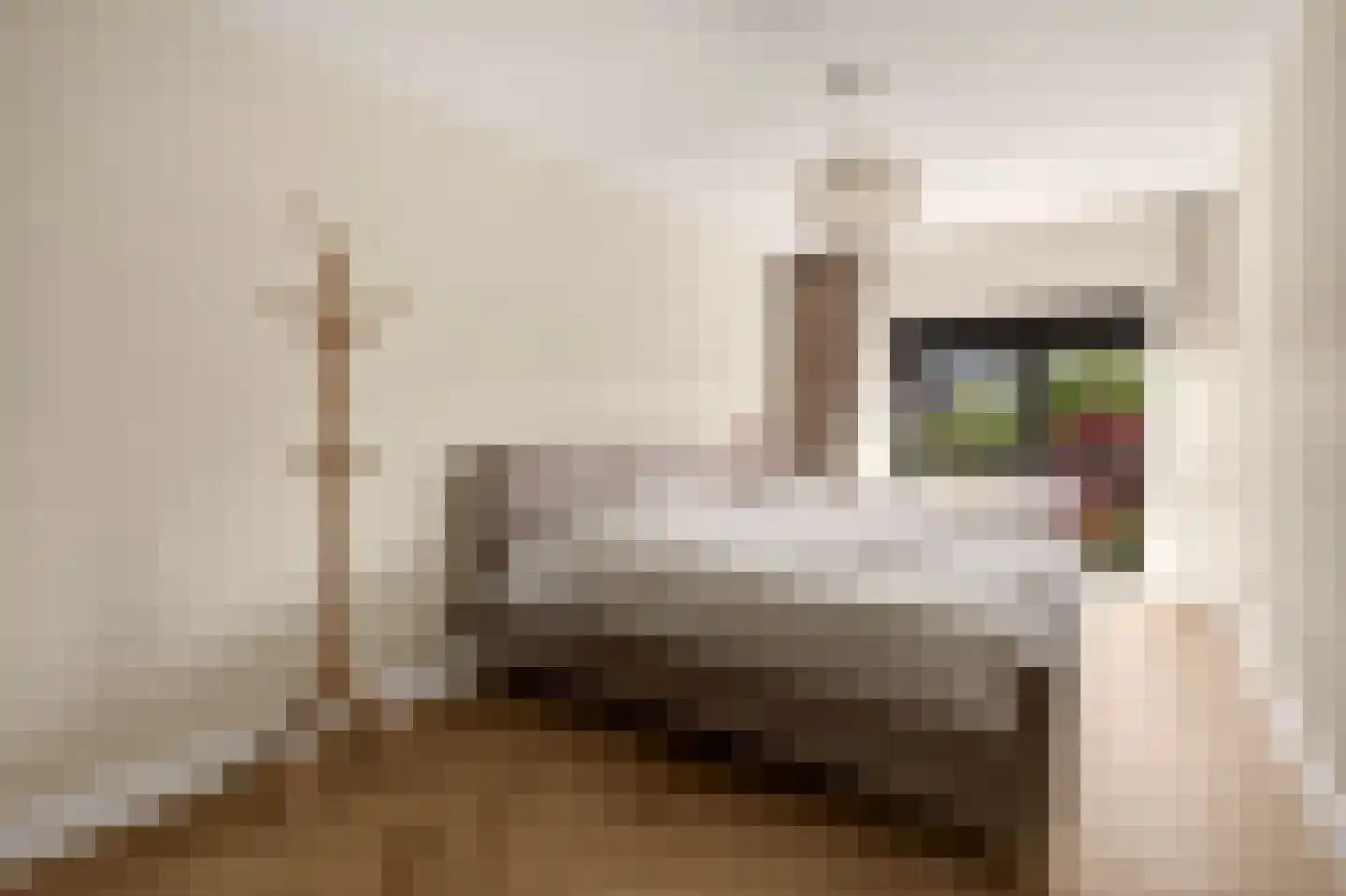 Balatonmeerlaan 1 Amsterdam thumbnail 17