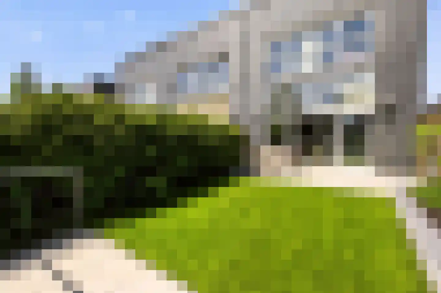 Balatonmeerlaan 1 Amsterdam thumbnail 40