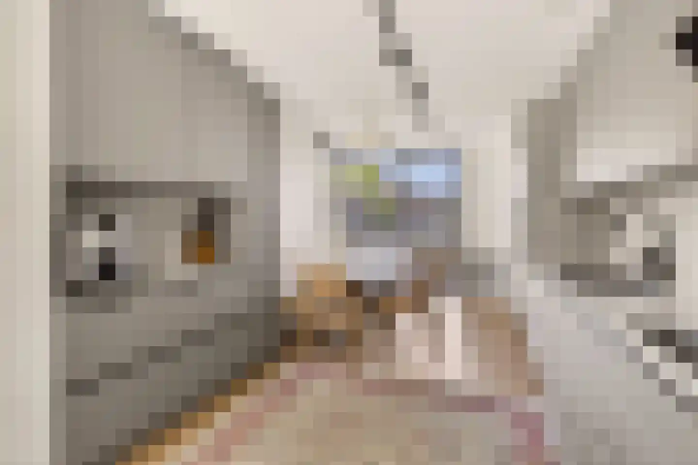 Balatonmeerlaan 1 Amsterdam thumbnail 8