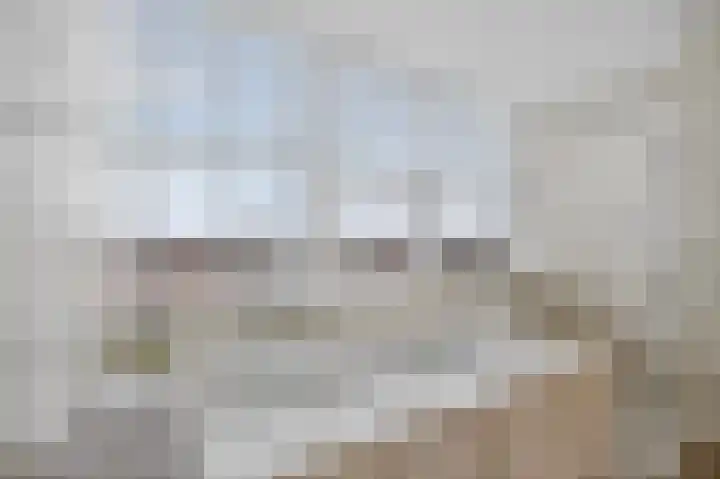 Balatonmeerlaan 45 Amsterdam thumbnail 26