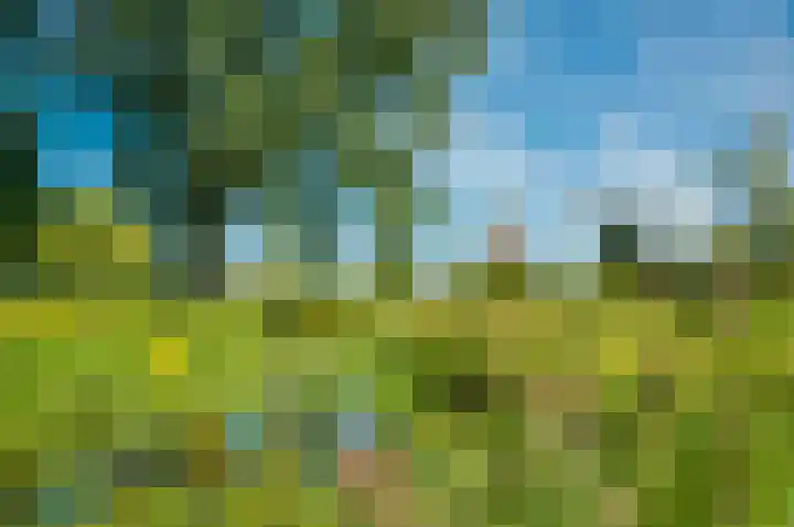 Balatonmeerlaan 45 Amsterdam thumbnail 35