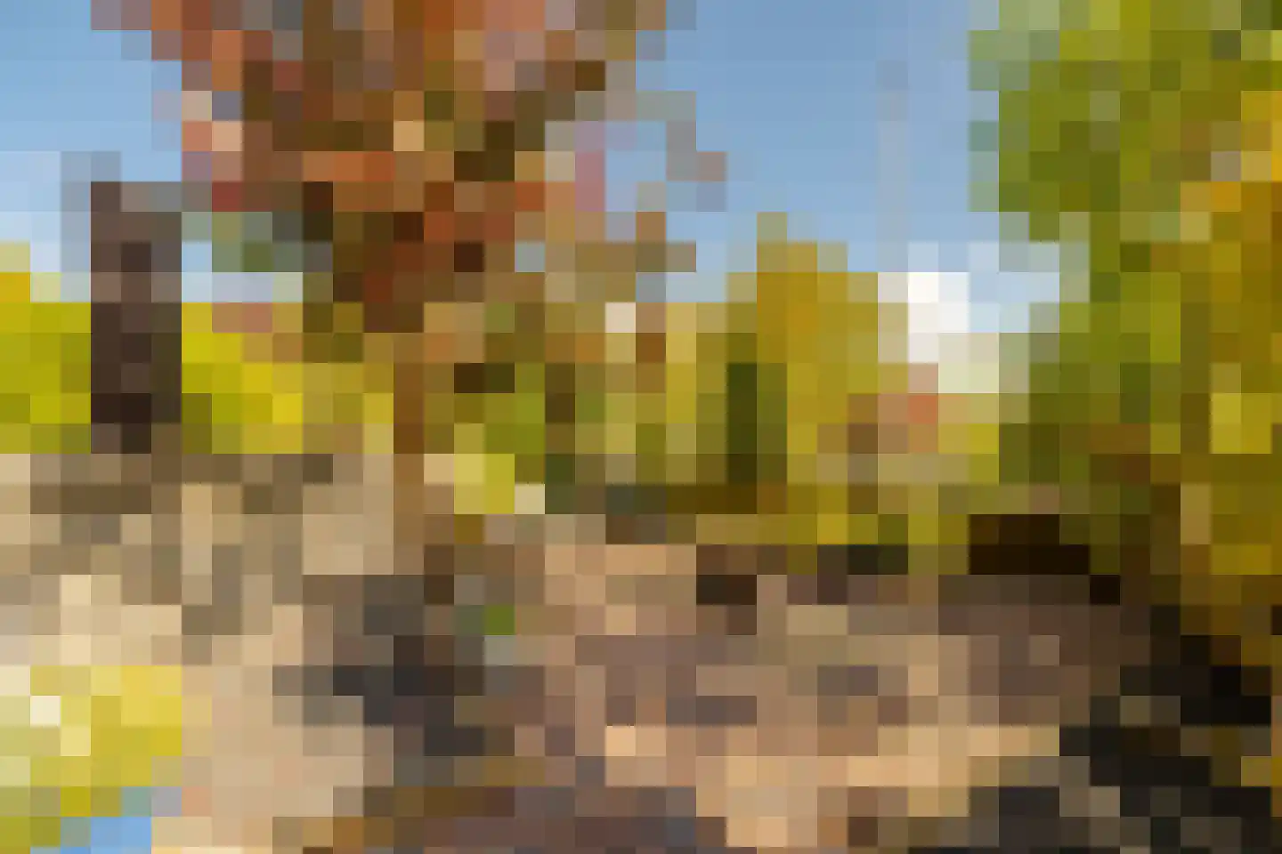 Balatonmeerlaan 53 Amsterdam thumbnail 10