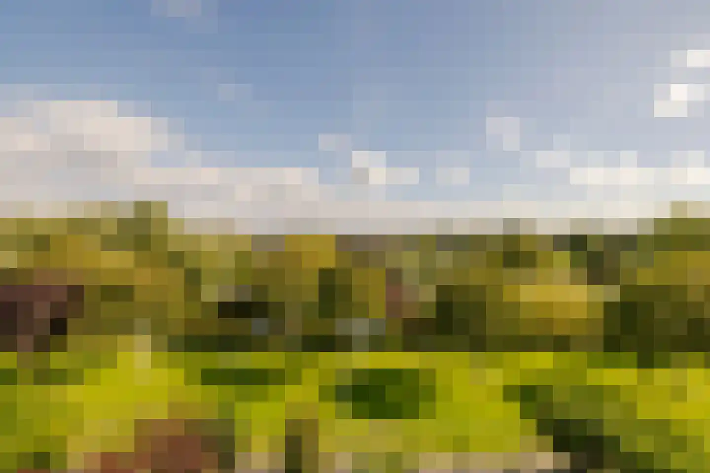 Balatonmeerlaan 53 Amsterdam thumbnail 40