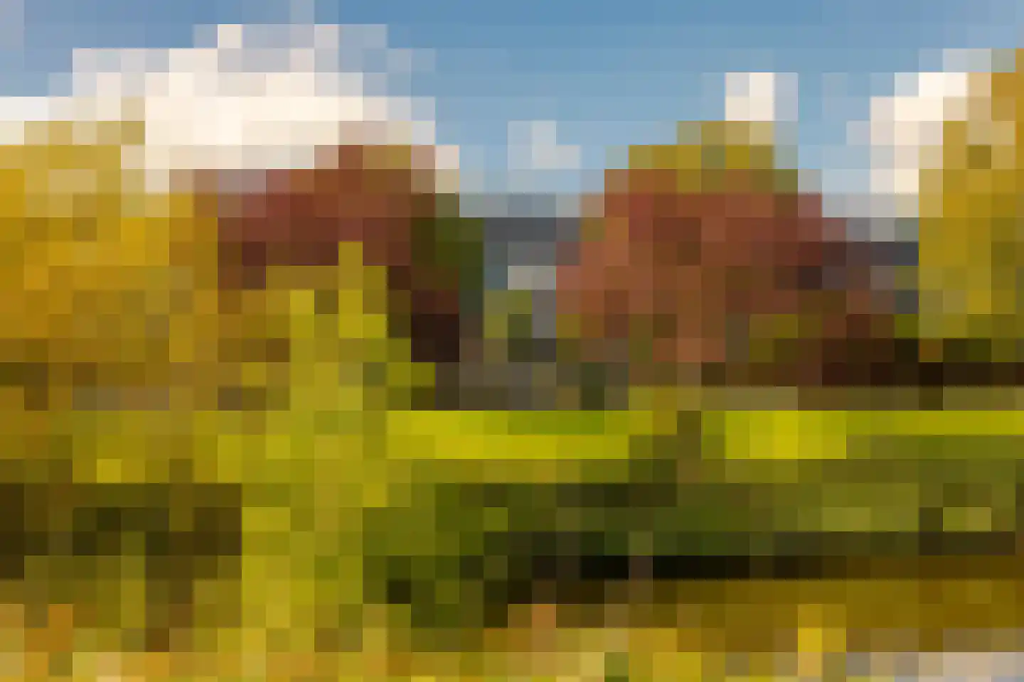 Balatonmeerlaan 53 Amsterdam thumbnail 50