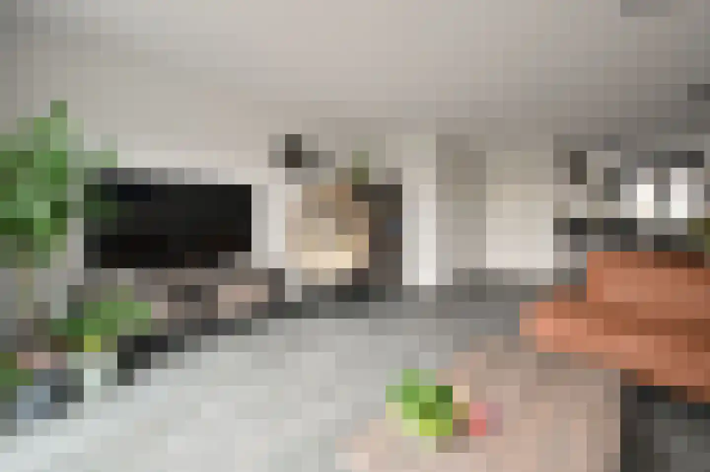 Balatumstraat 24 Huizen thumbnail 5