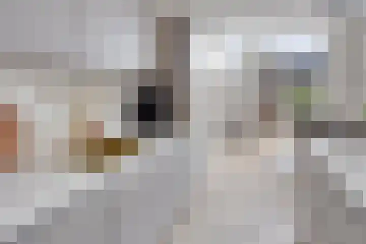 Balbaostraat 12 's-Hertogenbosch thumbnail 12