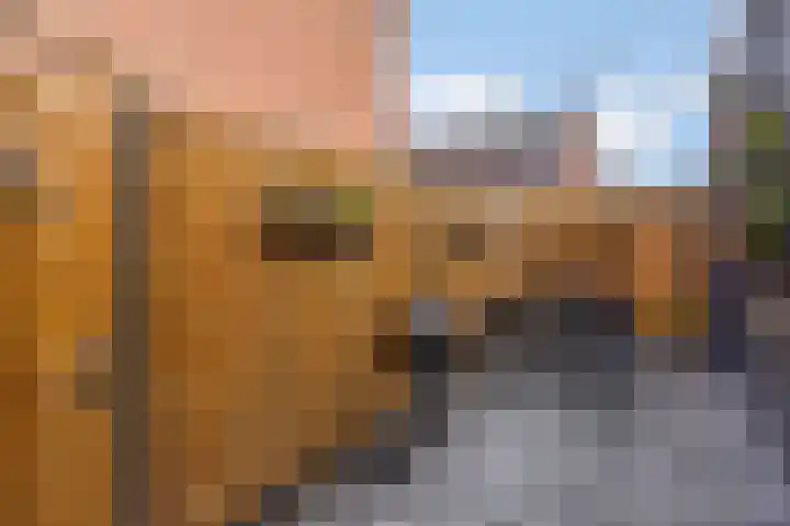 Balbaostraat 12 's-Hertogenbosch thumbnail 17