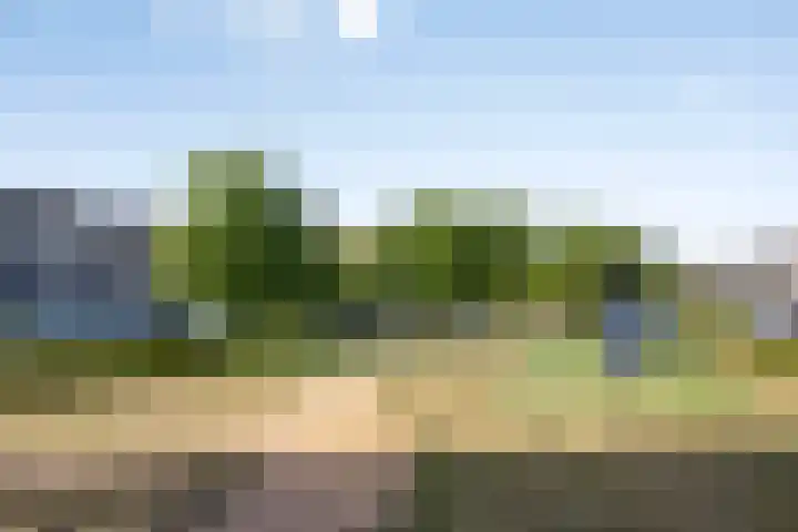 Balbaostraat 12 's-Hertogenbosch thumbnail 25