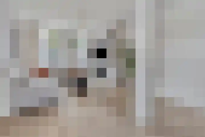 Balbaostraat 12 's-Hertogenbosch thumbnail 6