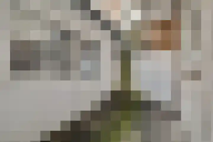 Balboastraat 11 Amsterdam thumbnail 11