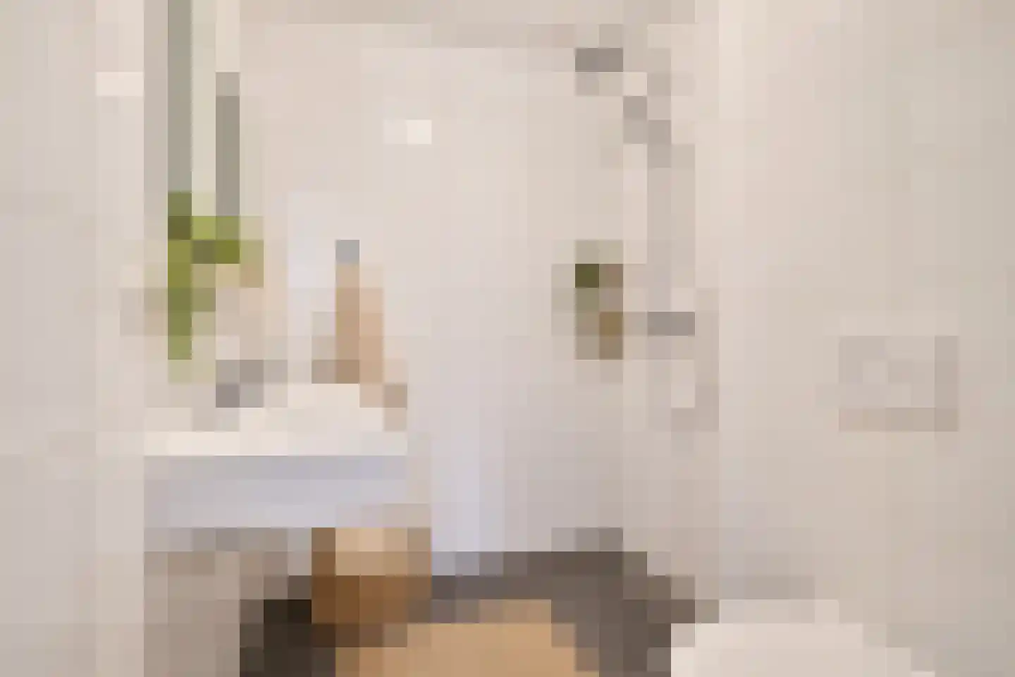 Balboastraat 11 Amsterdam thumbnail 12