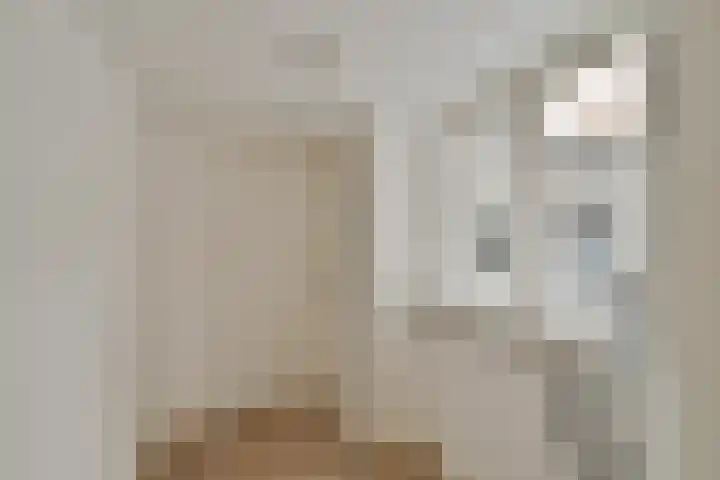 Balboastraat 11 Amsterdam thumbnail 12